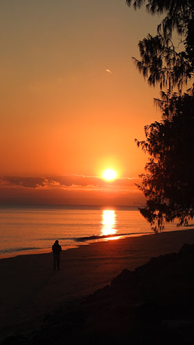 Sunrise Shelly Beach